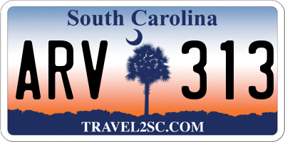 SC license plate ARV313
