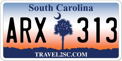 SC license plate ARX313