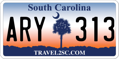 SC license plate ARY313