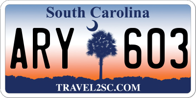 SC license plate ARY603