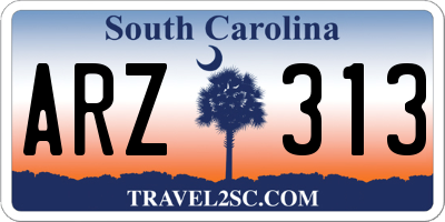 SC license plate ARZ313