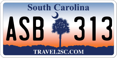 SC license plate ASB313