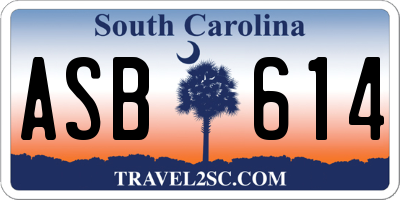 SC license plate ASB614