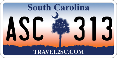 SC license plate ASC313