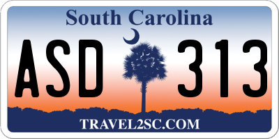 SC license plate ASD313