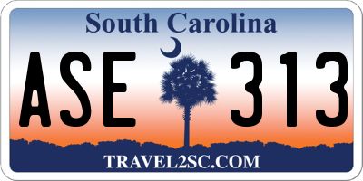 SC license plate ASE313
