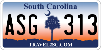 SC license plate ASG313