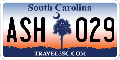SC license plate ASH029