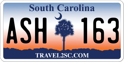 SC license plate ASH163