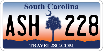 SC license plate ASH228