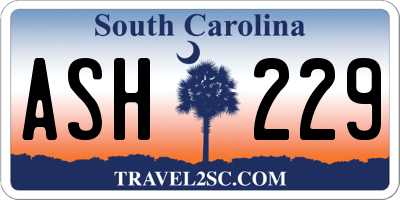 SC license plate ASH229
