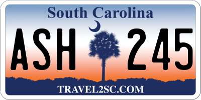 SC license plate ASH245