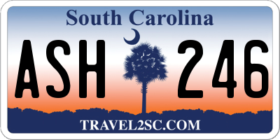 SC license plate ASH246