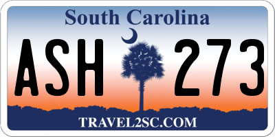 SC license plate ASH273