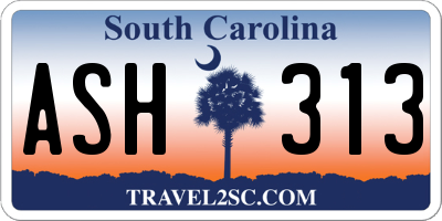 SC license plate ASH313