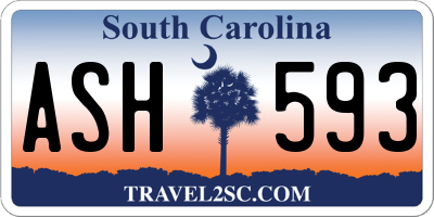 SC license plate ASH593
