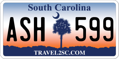 SC license plate ASH599