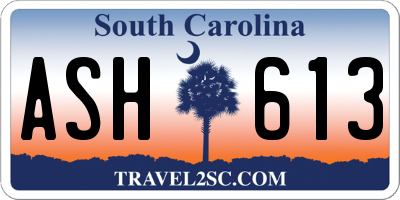 SC license plate ASH613