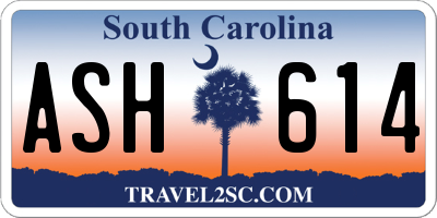 SC license plate ASH614