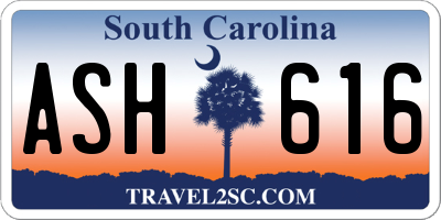 SC license plate ASH616