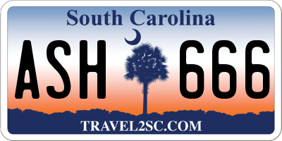 SC license plate ASH666
