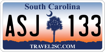 SC license plate ASJ133
