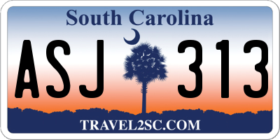 SC license plate ASJ313