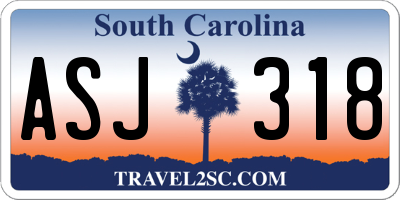 SC license plate ASJ318