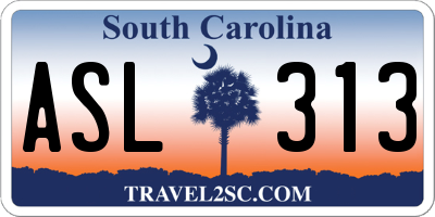 SC license plate ASL313