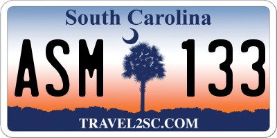 SC license plate ASM133