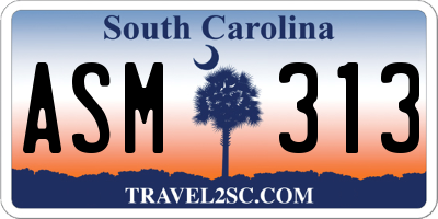 SC license plate ASM313