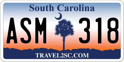 SC license plate ASM318