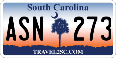 SC license plate ASN273
