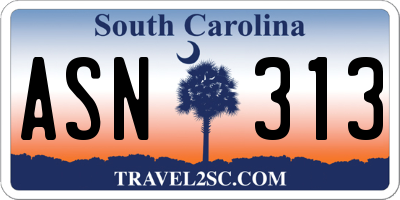 SC license plate ASN313
