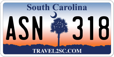 SC license plate ASN318