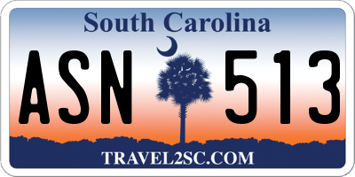 SC license plate ASN513