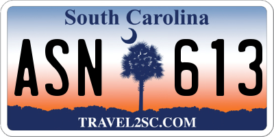 SC license plate ASN613