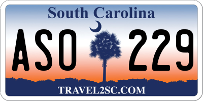 SC license plate ASO229