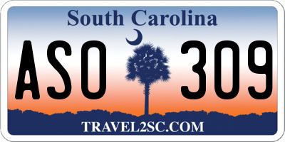 SC license plate ASO309