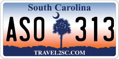 SC license plate ASO313