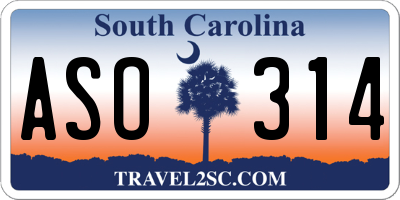 SC license plate ASO314