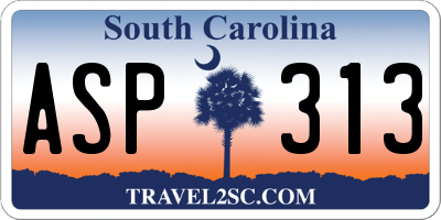 SC license plate ASP313