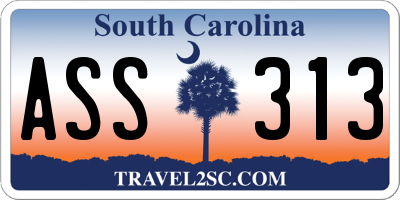 SC license plate ASS313