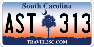SC license plate AST313