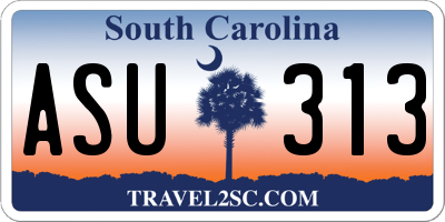 SC license plate ASU313