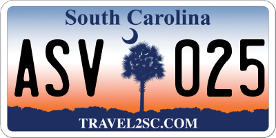 SC license plate ASV025