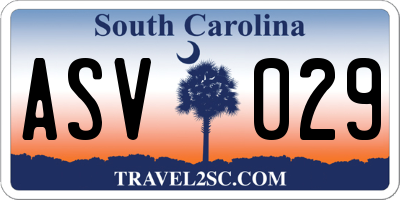SC license plate ASV029