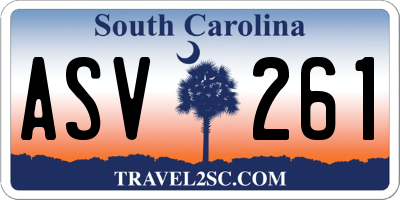 SC license plate ASV261