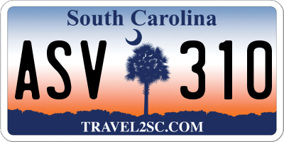 SC license plate ASV310