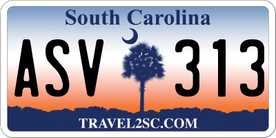 SC license plate ASV313